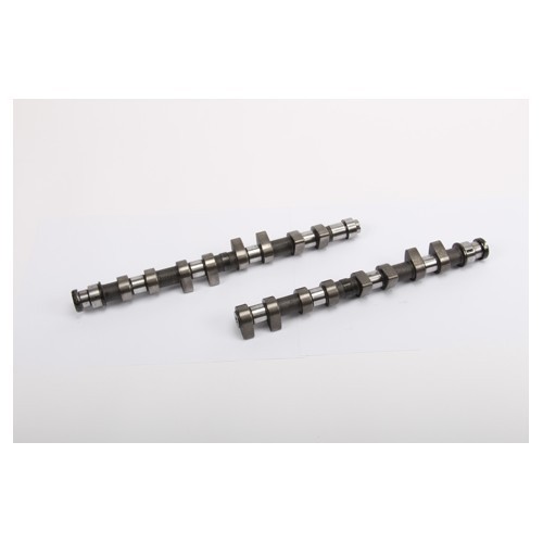  Sport camshafts for GTI 16S engine - 2 pieces - GD20600 