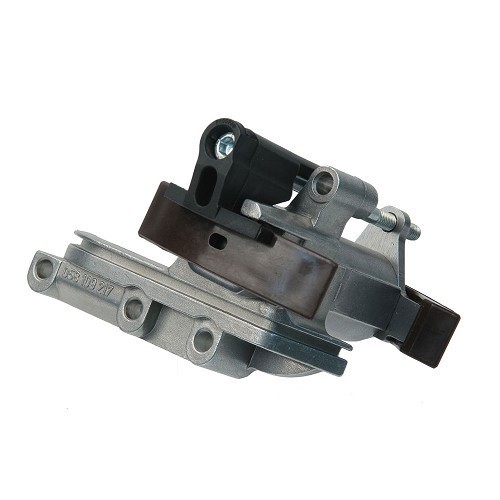  Camshaft chain tensioner for Golf 4 and Bora - GD20955 