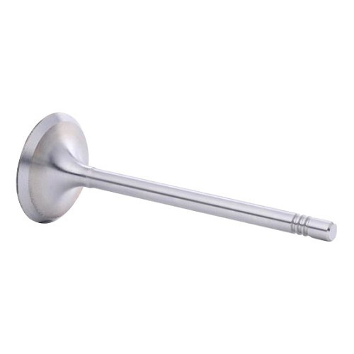     
                
                
    Intake valve for Polo 9N1 and 9N3 - GD22674
