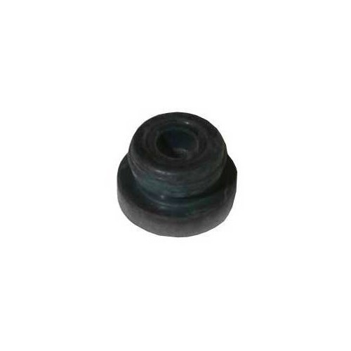 1 seal on master cylinder end piece for Golf 1, cabriolet and Caddy ->83 - GH24550