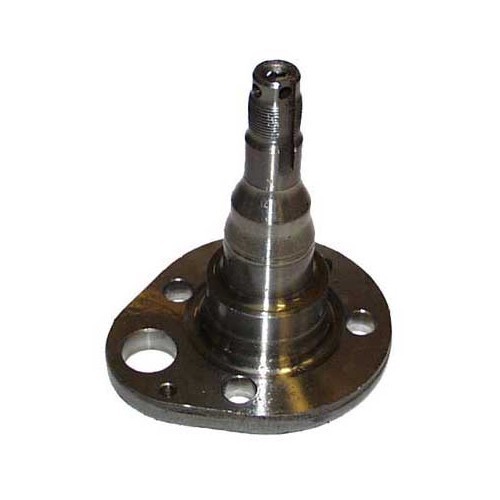  Rear left stub axle for Seat Ibiza 6K until ->1999, with drums and ABS - GH27730 