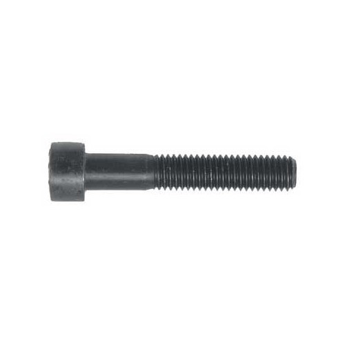  1 Fixing screw to brake caliper - GH28804 