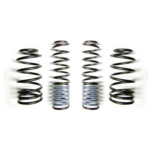     
                
                
    Ressorts courts EIBACH pour Golf 4 & Bora GTi, TDi & V5 - 4 pièces - GJ53705
