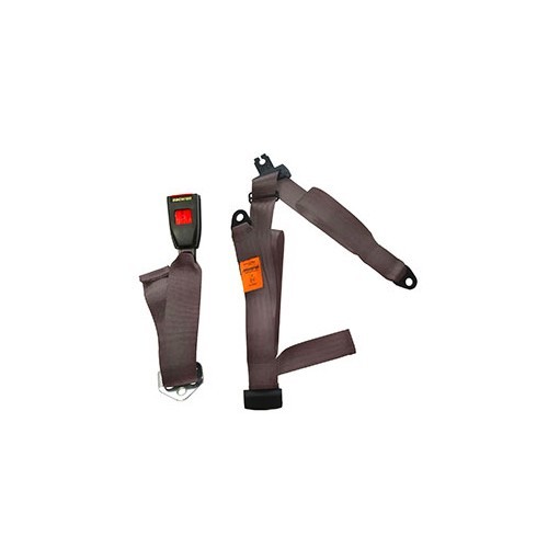     
                
                
    Ceinture arrière marron 3 points SECURON statique pour T25 - KB38003
