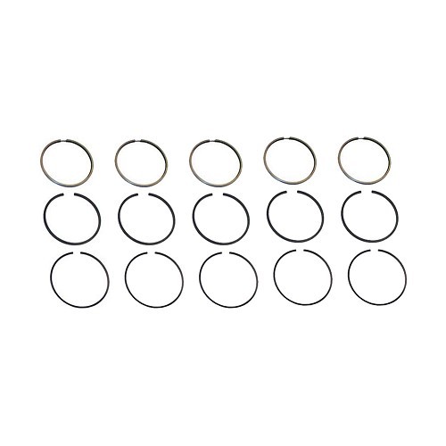     
                
                
    Set of 15 segments for Transporter 2.4L Diesel 5-cylinder engine - KD51860
