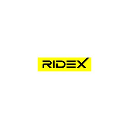  Rear shock absorber RIDEX for VW Transporter T5 - KJ50855 