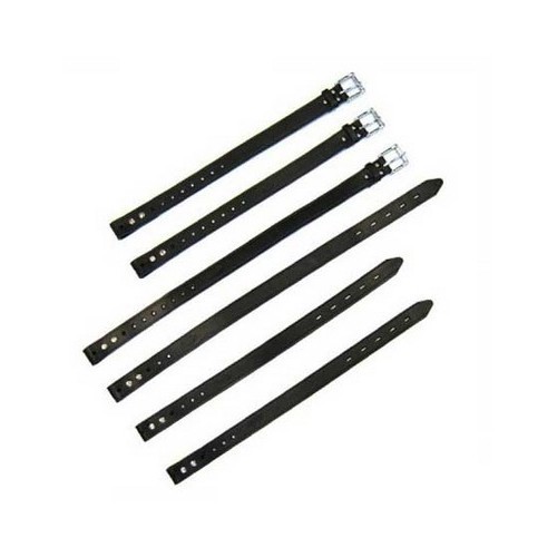     
                
                
    Cinghie per bagagli in pelle per Mazda MX5 (set di 3) - MX10600
