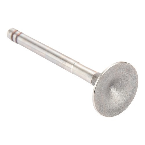     
                
                
    Soupape d'échappement INTERVALVES pour moteur Renault Cléon Fonte - 29mm - NO1315
