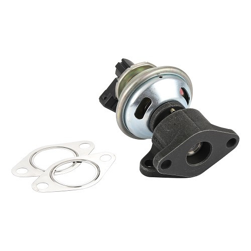     
                
                
    PIERBURG EGR valve for LAND ROVER DEFENDER 2.5L TDI (08/1990-12/1998) - NO1478
