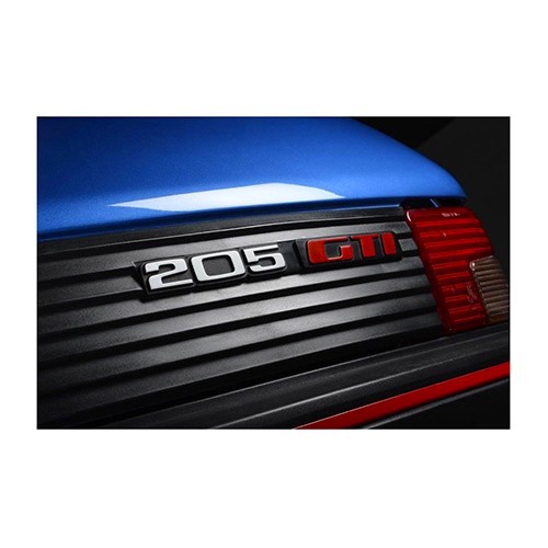  Ligne échappement Inox MILLTEK pour Peugeot 205 GTI - PC21210-3 