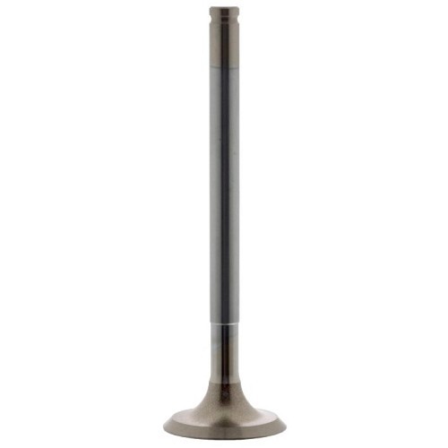     
                
                
    Auslassventil für Peugeot 205 Diesel - PE01324
