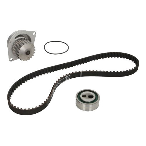     
                
                
    INA distributie- en waterpompkit voor Peugeot 106 1.6 XSI en 1.6 Rallye  - PE10013
