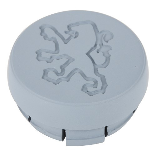     
                
                
    Paintable wheel hub cover for Peugeot 104 - PE30394
