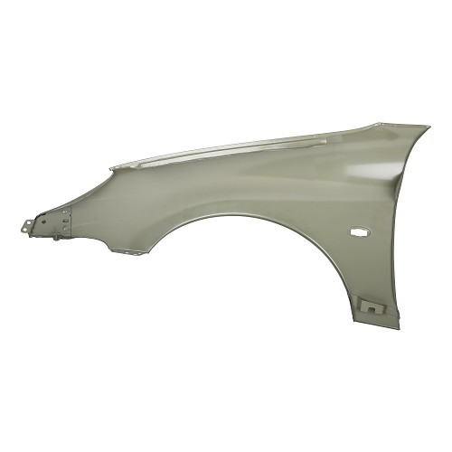 Parafango anteriore destro per Peugeot 206 XS, 206 S16 e 206 RC - PE50057