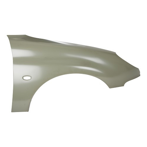     
                
                
    Parafango anteriore destro per Peugeot 206 XS, 206 S16 e 206 RC - PE50057
