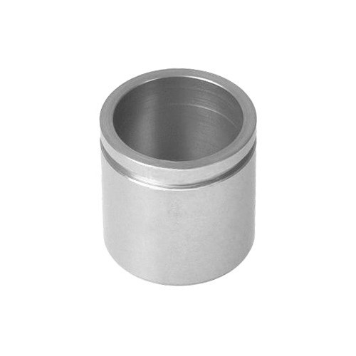     
                
                
    BENDIX front caliper piston for PSA and RENAULT vehicles with 48mm piston - PI00002
