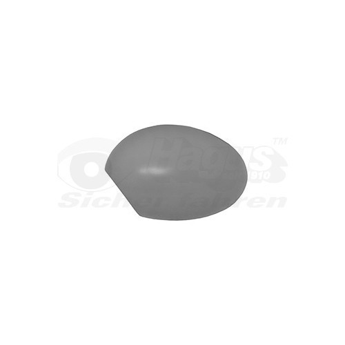  Wing mirror cover for MINI COUNTRYMAN, PACEMAN - RE00265 
