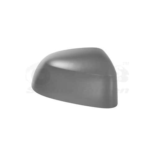  Wing mirror cover for BMW X5, X6 - RE00364 
