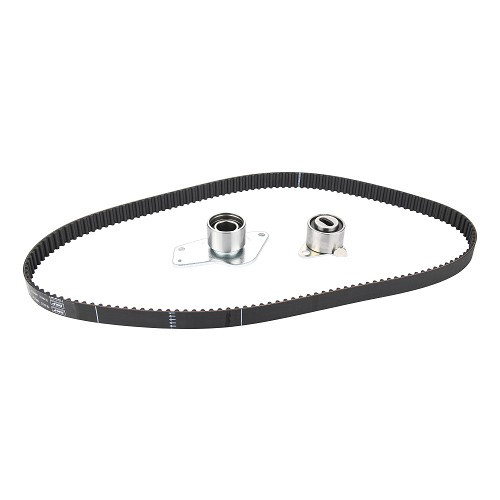     
                
                
    SKF timing kit for Renault Clio Williams and Clio 16 S - RN20005
