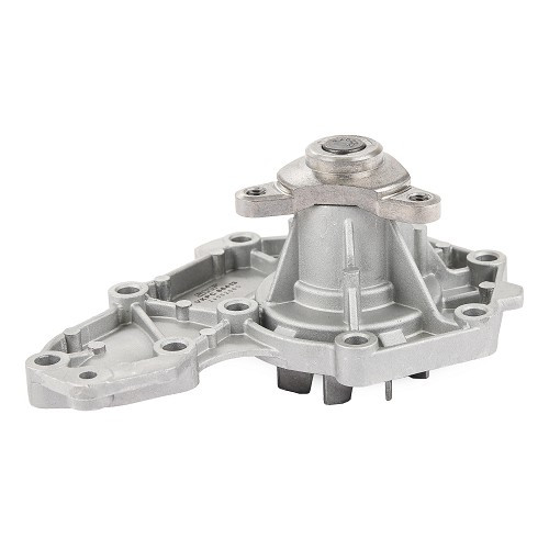 Pompa dell'acqua SKF per Renault Clio Willams e Clio 16S - RN20007