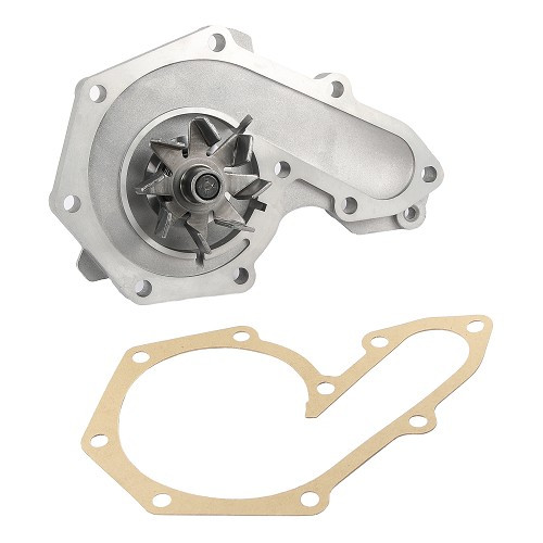     
                
                
    SKF water pump for Renault Clio Willams and Clio 16S - RN20007
