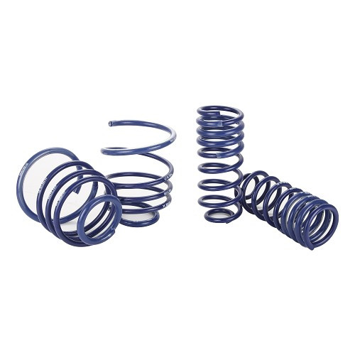     
                
                
    Molle corte H&R -25 mm per Porsche 996 Carrera 4 e Carrera 4S (1998-2005) - RS00351
