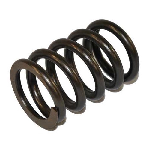     
                
                
    Valve spring for Porsche 914-4 - RS25004
