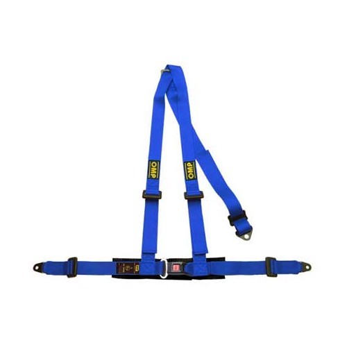     
                
                
    Blue Road 3 OMP safety harness - RS31005
