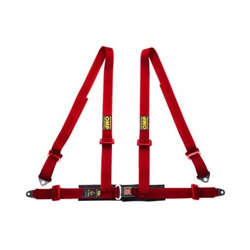     
                
                
    Red Road 4 OMP safety harness - RS31011
