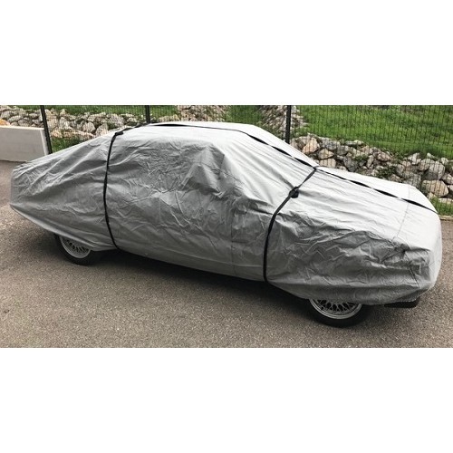 Zurrgurte für Außenschutzplanen - RS38102