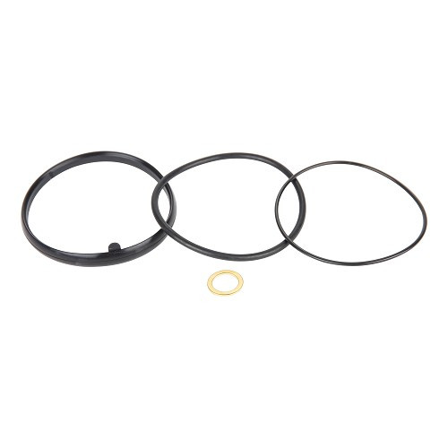 Filtro olio RIDEX per Porsche Panamera tipo 970 Hybrid (2011-2016) - RS98012