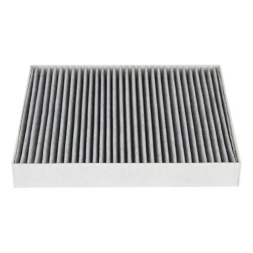  RIDEX cabin filter for Porsche Panamera type 970 (2010-2016) - RS98013 