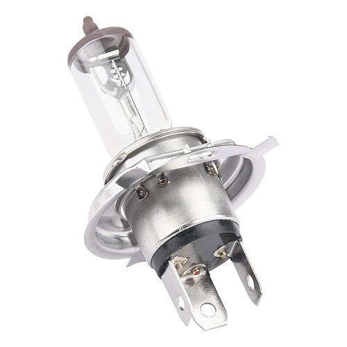     
                
                
    H4 bulb for Renault 4L - RT30014
