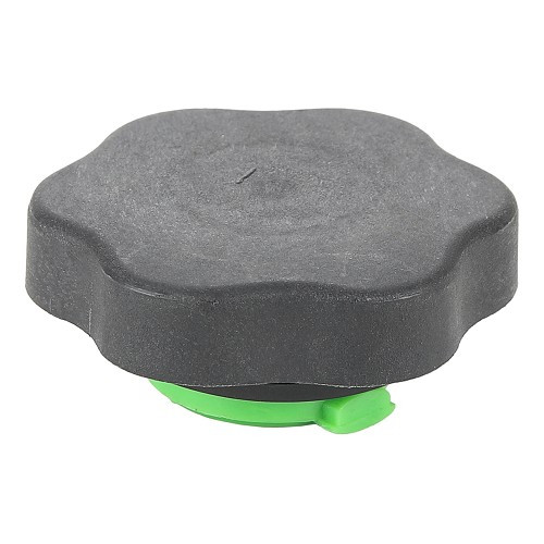     
                
                
    Bouchon de remplissage d'huile pour Renault 4 - RT40342

