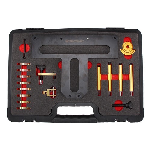 Utensili per albero a camme BMW per motori N42 ed N46 TOOLATELIER - TA00345