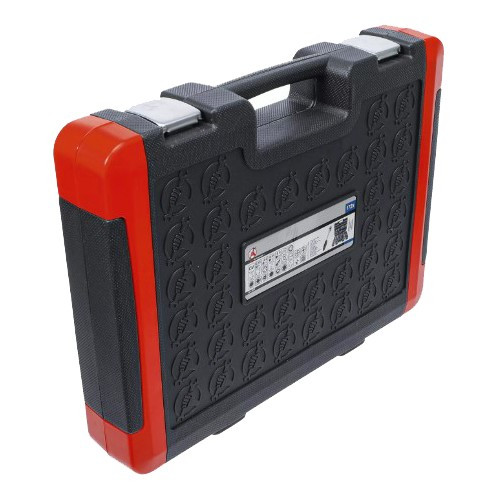 Tool set ratchets and sockets 6 Pans 172 Pieces BGS - TB00536