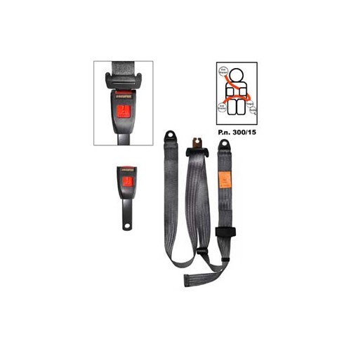     
                
                
    3-point Securon grey front seatbelt - Static - UB38054
