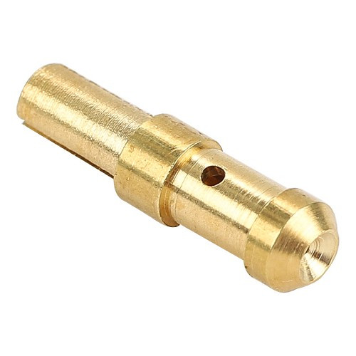     
                
                
    Gicleur de ralenti pour carburateur Weber - Taille 52 - UC45036
