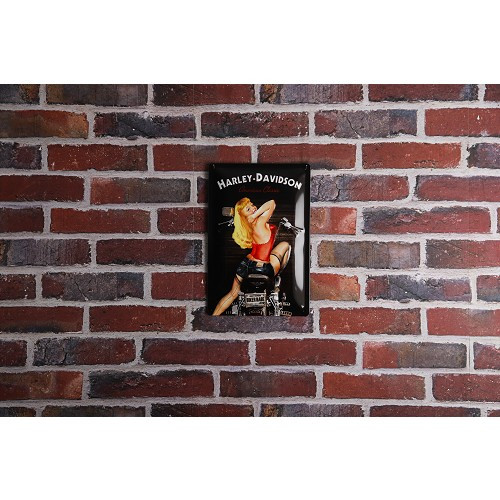 Plaque décorative métallique HARLEY DAVIDSON BIKER BABE - 20 x 30 cm - UF01374