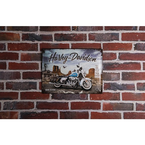 Targa decorativa in metallo HARLEY DAVIDSON ARIZONA - 30 x 40 cm - UF01483