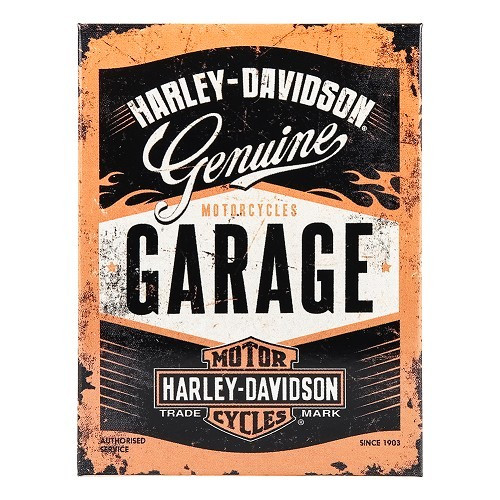     
                
                
    Magnete GARAGE HARLEY DAVIDSON - UF01507
