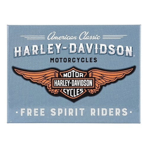     
                
                
    Magnet HARLEY DAVIDSON FREE SPIRIT RIDERS - UF01508
