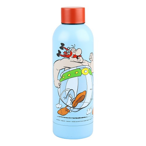  Isolierte Trinkflasche 530ml Asterix - UF01725-2 