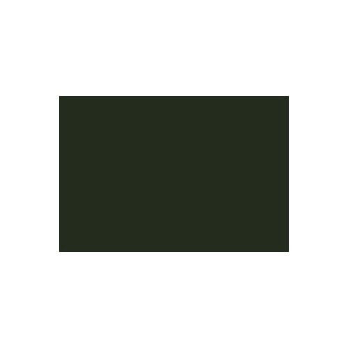 Sticker color fichtengrün L61K for Volkswagen Beetle   - UF11042