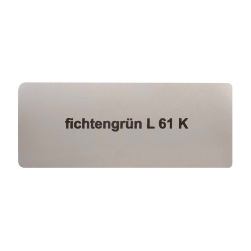     
                
                
    Sticker color "fichtengrün L61K" for Volkswagen Beetle   - UF11042
