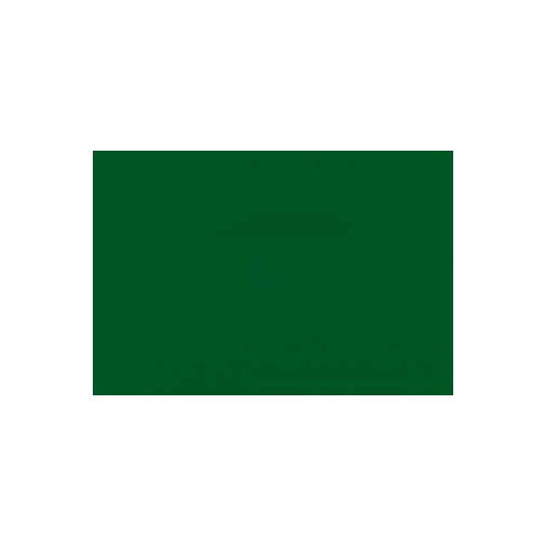 Adesivo colore sambesigrün L64K per Volkswagen Maggiolino   - UF11075