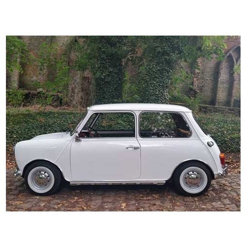 4 white sidewall for 10 wheel - UL40110