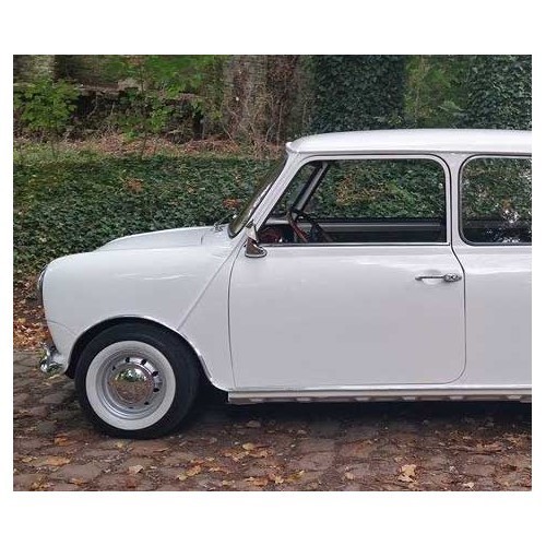 4 white sidewall for 10 wheel - UL40110