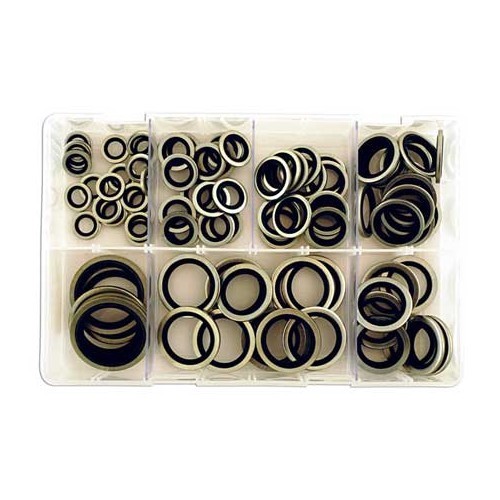  Conjunto de anilhas coladas - 100 peças - Tamanhos em polegadas BSP - UO10652 