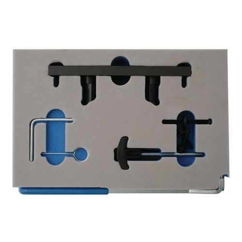     
                
                
    Utensili per distribuzione Audi TFSi/FSi - 2.0 l - UO10734
